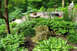 8706 State 44, Caledonia, MN 55921 - Photo 39