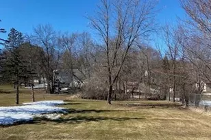 Tbd Mainstreet, Rockford, MN 55373 - Photo 1