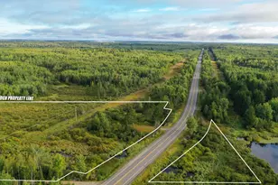 6501 Hwy 169, Tower, MN 55790 - Photo 1