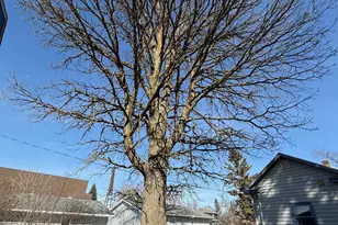 173 Main Street N, Blackduck, MN 56630 - Photo 9