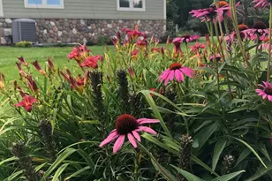 18850 Koetter Lake Rd, Richmond, MN 56368 - Photo 49