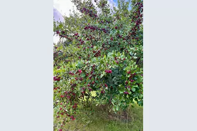 38213 State Highway 87, Frazee, MN 56544 - Photo 13