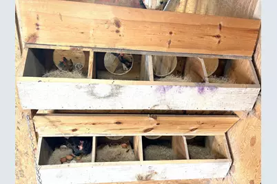 38213 State Highway 87, Frazee, MN 56544 - Photo 53