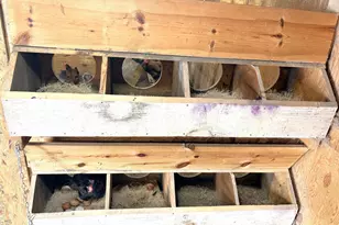 38213 State Hwy 87, Frazee, MN 56544 - Photo 53