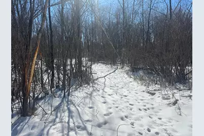 Tbd-15.8Ac 313th Avenue NW, Cambridge, MN 55008 - Photo 17