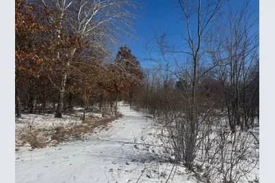 Tbd-15.8Ac 313th Avenue NW, Cambridge, MN 55008 - Photo 29