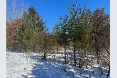 Tbd-15.8Ac 313th Avenue NW, Cambridge, MN 55008 - Photo 31