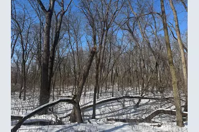 Tbd-15.8Ac 313th Avenue NW, Cambridge, MN 55008 - Photo 35