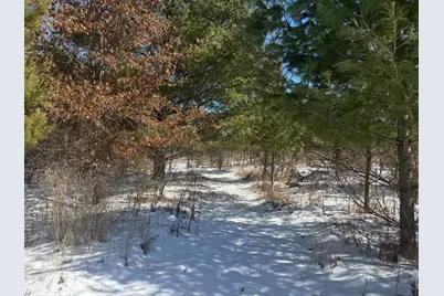 Tbd-15.8Ac 313th Avenue NW, Cambridge, MN 55008 - Photo 33