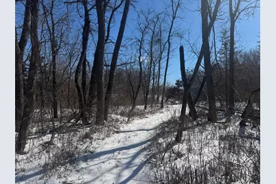 Tbd-15.8Ac 313th Avenue NW, Cambridge, MN 55008 - Photo 19