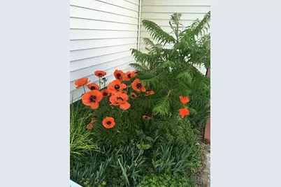 107 E 5th Street, Morris, MN 56267 - Photo 69