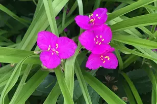 107 E 5th St, Morris, MN 56267 - Photo 71