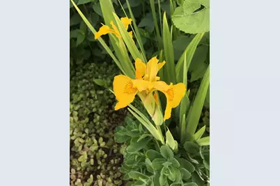 107 E 5th Street, Morris, MN 56267 - Photo 71