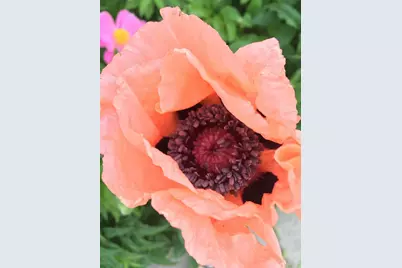 107 E 5th Street, Morris, MN 56267 - Photo 73