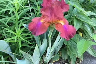 107 E 5th St, Morris, MN 56267 - Photo 73