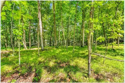 49330 Fish Lake Road, Pelican Rapids, MN 56572 - Photo 13