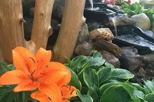 8608 Mattson Brook Ln, Brooklyn Park, MN 55444 - Photo 29