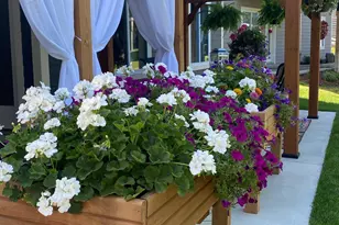 18230 Jurel Way, Lakeville, MN 55044 - Photo 53