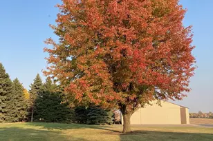 20366 470th Ave, Morris, MN 56267 - Photo 77