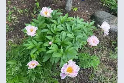 8323 W Franklin Avenue, Saint Louis Park, MN 55426 - Photo 61