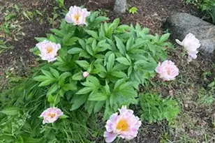 8323 W Franklin Ave, Saint Louis Park, MN 55426 - Photo 61