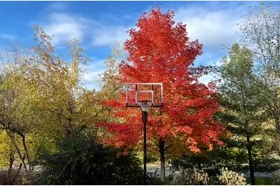 8323 W Franklin Avenue, Saint Louis Park, MN 55426 - Photo 53