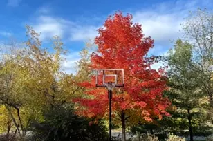 8323 W Franklin Ave, Saint Louis Park, MN 55426 - Photo 53