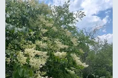 8323 W Franklin Avenue, Saint Louis Park, MN 55426 - Photo 63