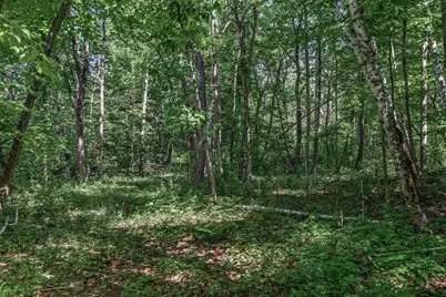 25Xxx Itasca Avenue, Forest Lake, MN 55025 - Photo 9