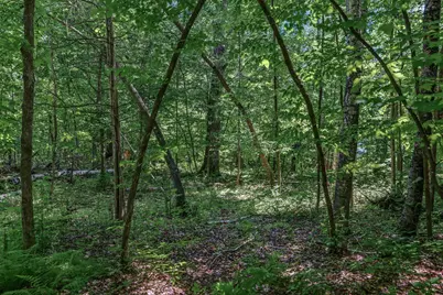 25Xxx Itasca Avenue, Forest Lake, MN 55025 - Photo 5