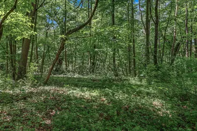 25179 Itasca Avenue, Forest Lake, MN 55025 - Photo 9