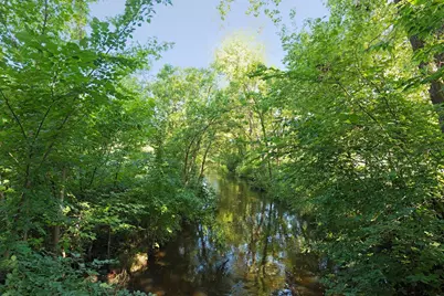 5513 Bryant Avenue N, Brooklyn Center, MN 55430 - Photo 47