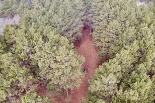 917 Sunrise Beach Dr, Amery, WI 54001 - Photo 43