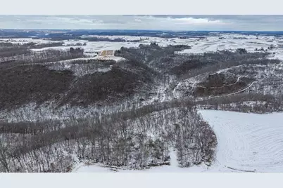 Tbd Maplewood Lane, Alma, WI 54610 - Photo 5