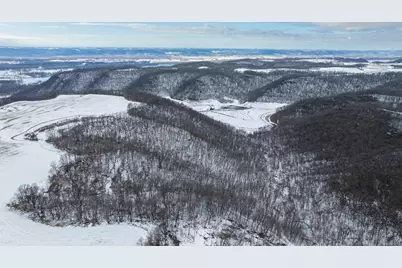 Tbd Maplewood Lane, Alma, WI 54610 - Photo 11