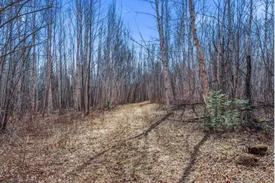 4359 Schweiger Road, Orr, MN 55771 - Photo 93