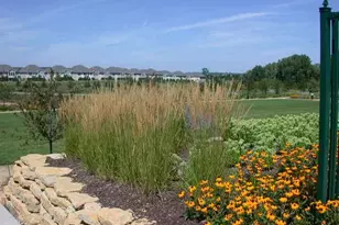 3515 Cherry Ln, Woodbury, MN 55129 - Photo 49