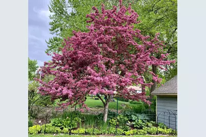 1988 Eldridge Avenue W, Roseville, MN 55113 - Photo 55