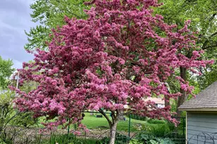 1988 Eldridge Ave W, Roseville, MN 55113 - Photo 55