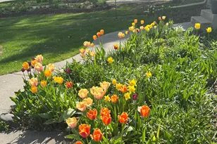 1988 Eldridge Ave W, Roseville, MN 55113 - Photo 59