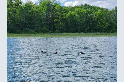 6324 Wilderness Road, Pequot Lakes, MN 56472 - Photo 65