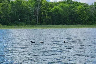 6324 Wilderness Rd, Pequot Lakes, MN 56472 - Photo 65