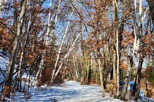 6324 Wilderness Rd, Pequot Lakes, MN 56472 - Photo 71