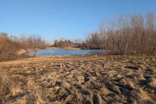 L1 B2 Fortune Creek Ct, Faribault, MN 55021 - Photo 7