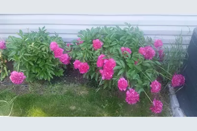 4745 Narvik Drive, Eagan, MN 55122 - Photo 21