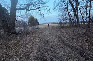 47155 Monkey Valley Hollow, Kenyon, MN 55946 - Photo 11