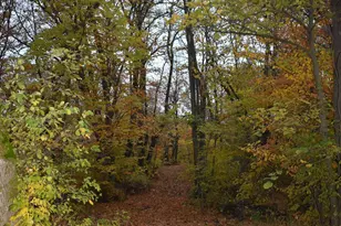 3354 Shore Wood Dr SW, Kensington, MN 56343 - Photo 29