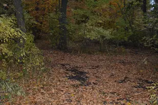 3354 Shore Wood Dr SW, Kensington, MN 56343 - Photo 27