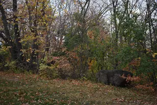 3354 Shore Wood Dr SW, Kensington, MN 56343 - Photo 21