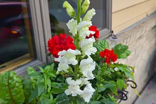 1235 N Sutton Lake Blvd, Jordan, MN 55352 - Photo 81